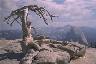 small_9708 4409 yosemiteIMG0006.webp